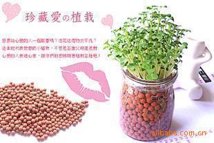 ʿDIYֲֲ̼βݰ칫