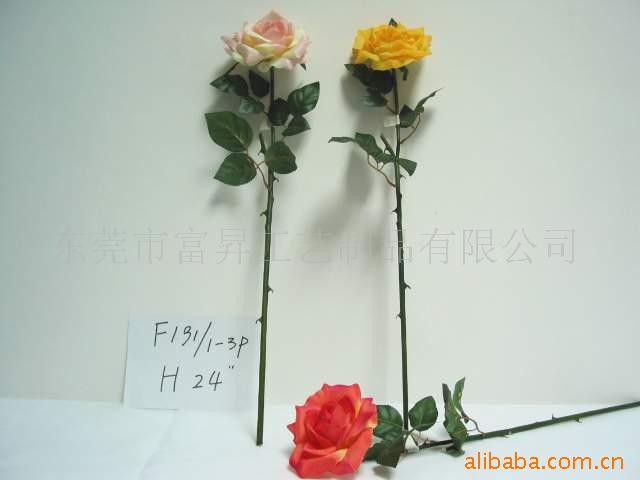 滨컨滨컨