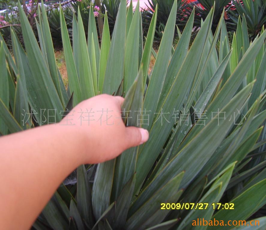 ľ顢β˽컨ݡ