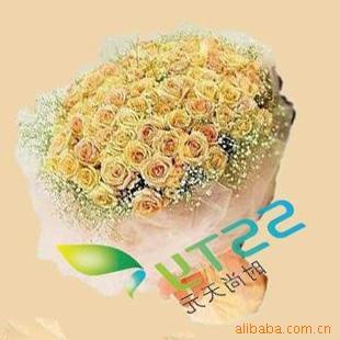 Ůʻ֣ʻ˽ʻ33õ