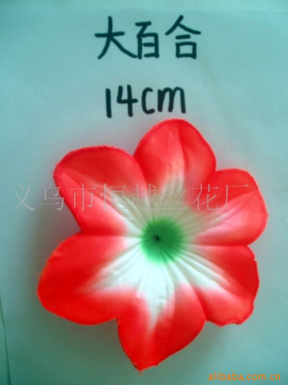 滨Ҷ
