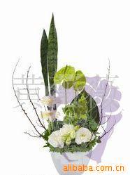成都三圣花乡紫薇旗舰店鲜花小额批发莱拉