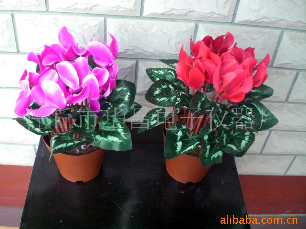 仙客来盆栽,仙客来盆花,塑料花,绢花,仿真花,