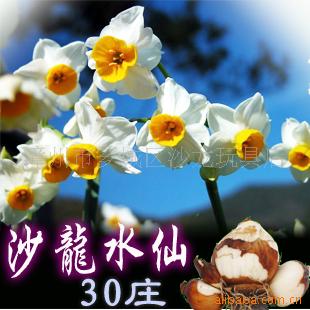 ˮɻֱ17-30ף