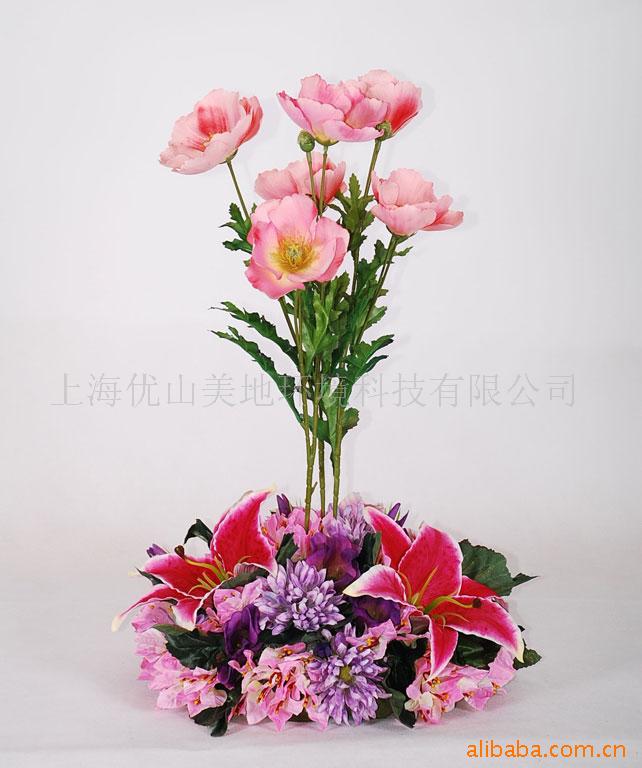 滨ռҾƷ,װƷ
