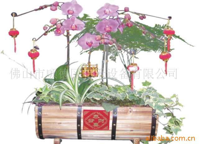 ֮辰ڻͻ䣬