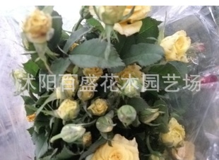 õ廨1-5磬