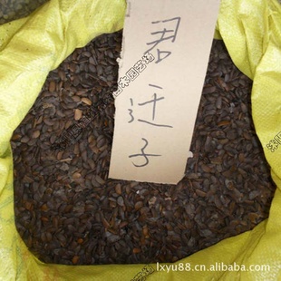 ǨӺӱΪ14
