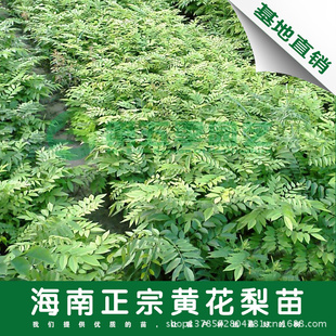 ϻƻ纣ϻƻ