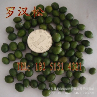 ޺޺ľӱѿṩֲ30/
