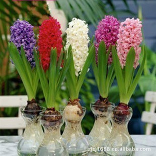 ڷˮװֲﻨܴ