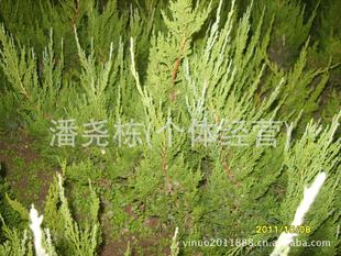 Ϋ硢ɽ硢ɽ硢Ͳ