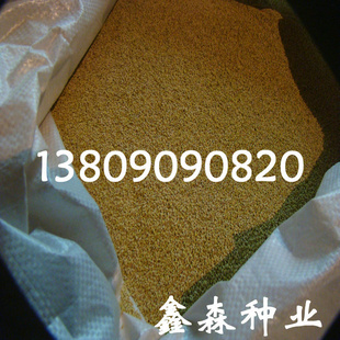 ӦǿӪ߲25KGϻޣ