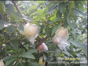 ƻƻƷ2012ƻ¼۸
