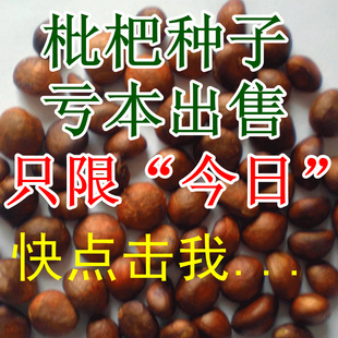 ԲƷִѱѿʸ