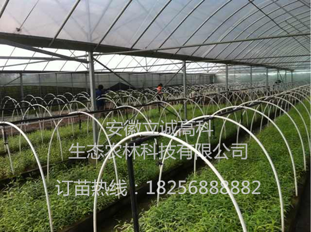 췱磬3ţǤ磬