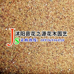 ϻޣӲѽӣݣ