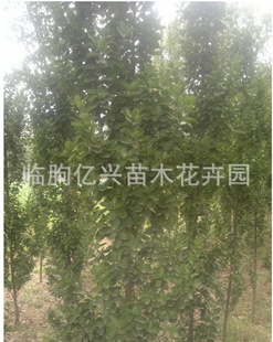 籣ӭѡ
