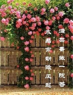 ͺҰǾޱӷǾޱӺǾޱ