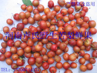 30-70ϵҹˬ