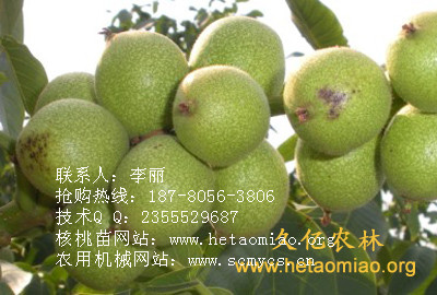 к硢޽Ӻ硢ʵǺ