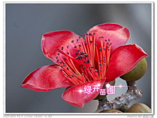 ľӣľ޻ӣľޣ