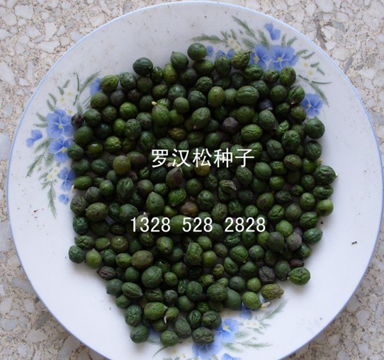 ޺ɽضٺ컨ޱ