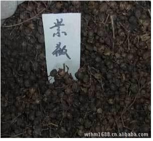 花卉种子紫薇种子百日红种子紫薇籽种苗木种子