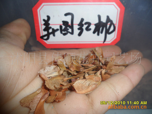 花木种子进口美国红枫种子2800元一斤-北美红枫-加拿大红枫-