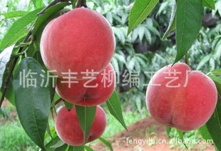 ľ磻硣