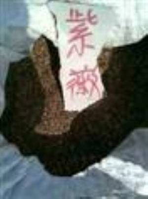 컨ޱȥޱ