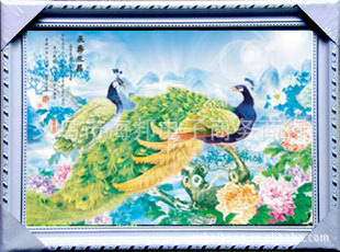 廭ɶ򳧣PSװλ40*60CM