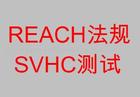 ӦREACH/SVHC