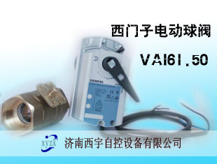 ӵ綯VAI61.50
