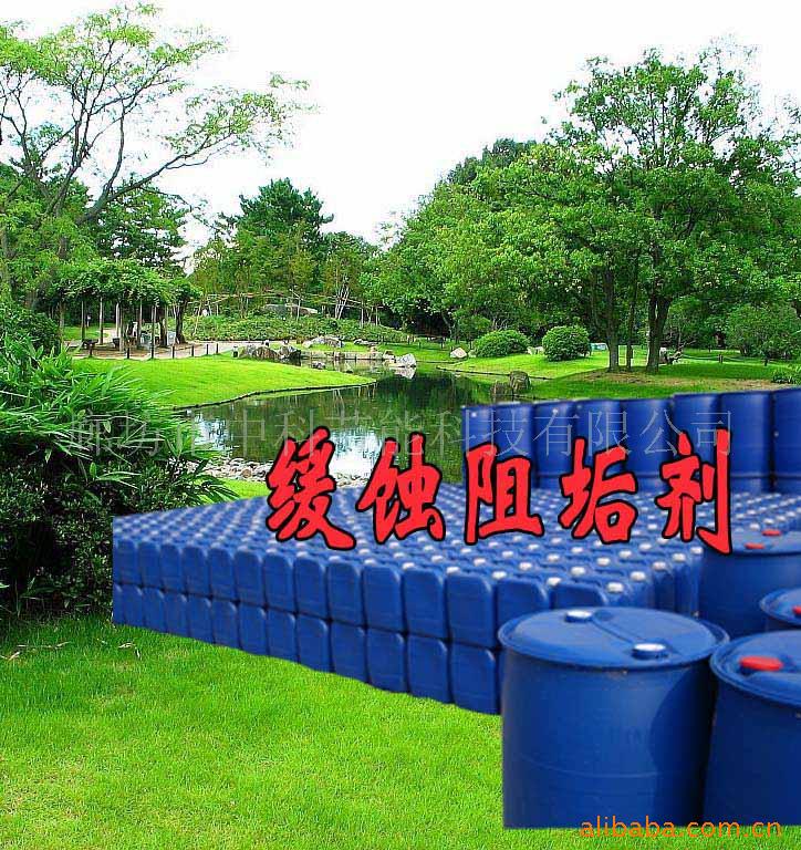ZKȫл蹸ʴ