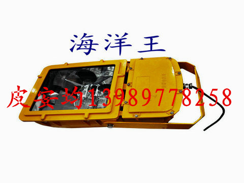 뺣BFC8110