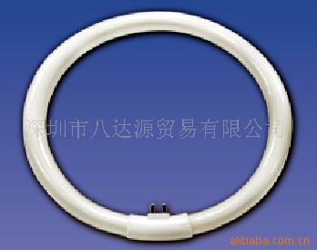 T6ӫƹ55W