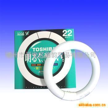 ֥TOSHIBAܵӫƻε
