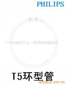 T5͹