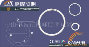 T5ӫ