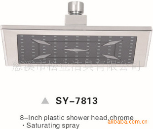 SY813