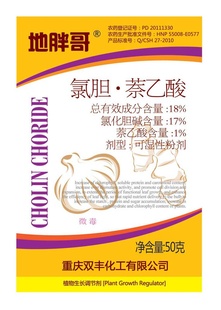 18%ȵ.--ָ