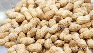 Ƥⱥֿɿڣ25kg/㻨