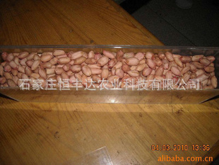ṩƷζ