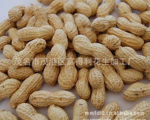 ƼŴ-ڸвƷ-25kg/㻨