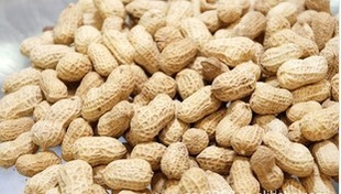 ƼŴ-ڸвƷ-25kg/㻨