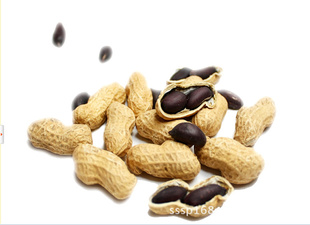 ڻڻӱز̲Ʒװ500g