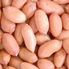 2010ṩʲƷ߿ζڸ