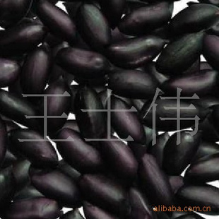 ڻ׾۸θݽѹʳƷ