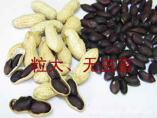 ְڻ